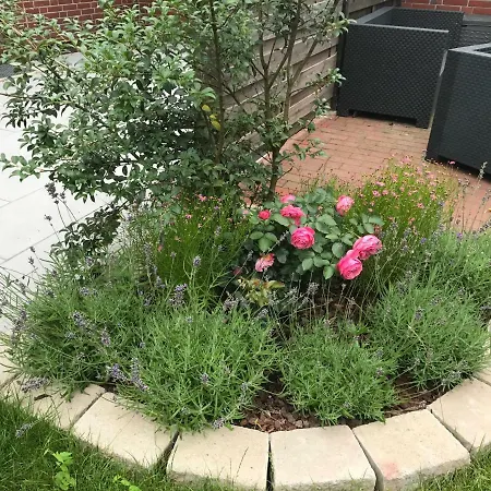 Haus Kogge Dangast *